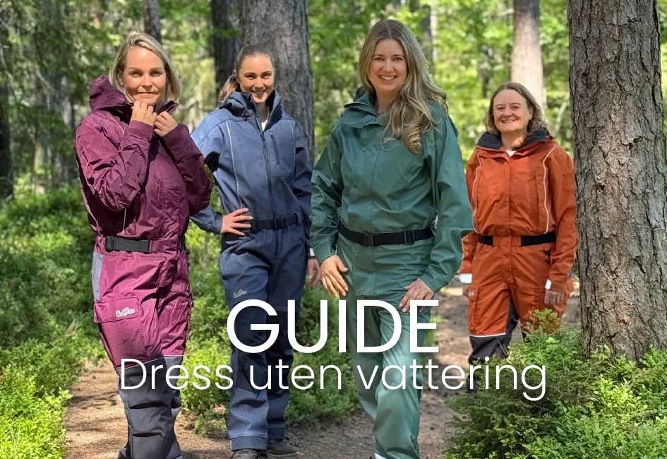 Guide: Hvordan velge uvattert dress?